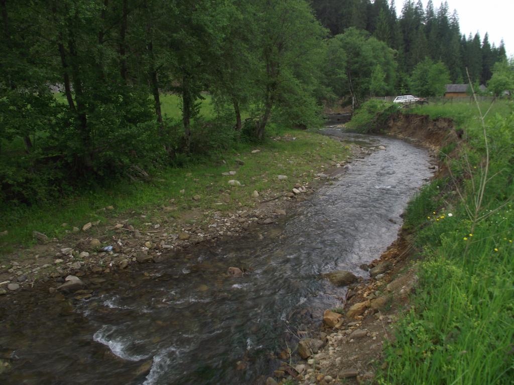 Cabana Piatra Runcului Vatra Moldoviţei Εξωτερικό φωτογραφία