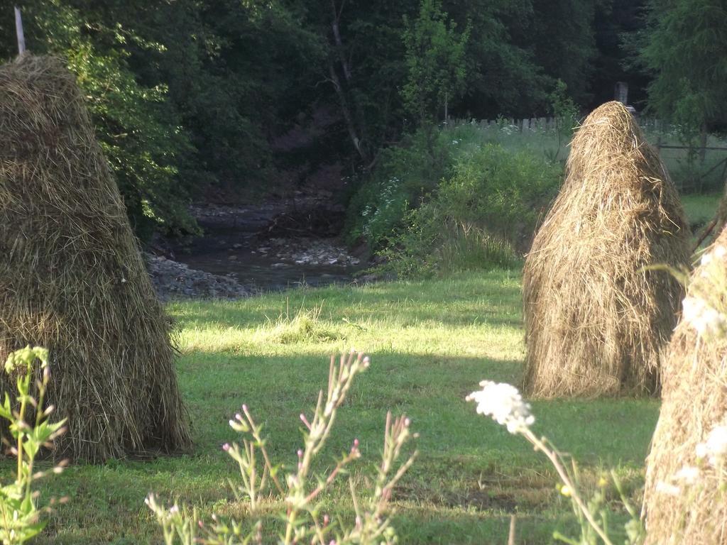 Cabana Piatra Runcului Vatra Moldoviţei Εξωτερικό φωτογραφία